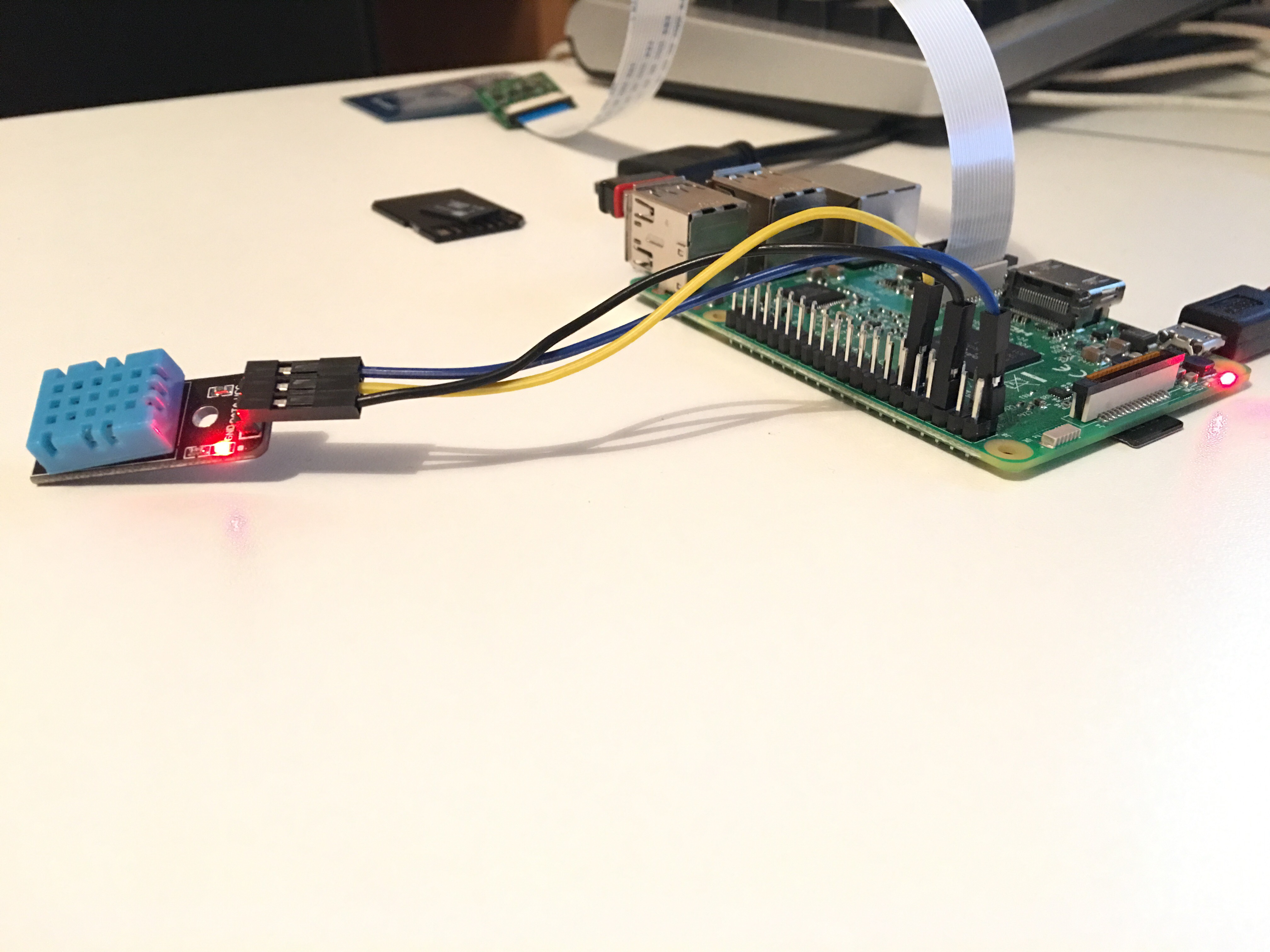 DHT11 Raspberry Pi Setup